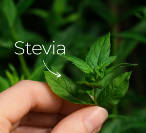 Zuckerersatz, Diabetes, Typ 2, Alternative, Zucker,süßen,welche,Stevia,Pflanze,Hand
