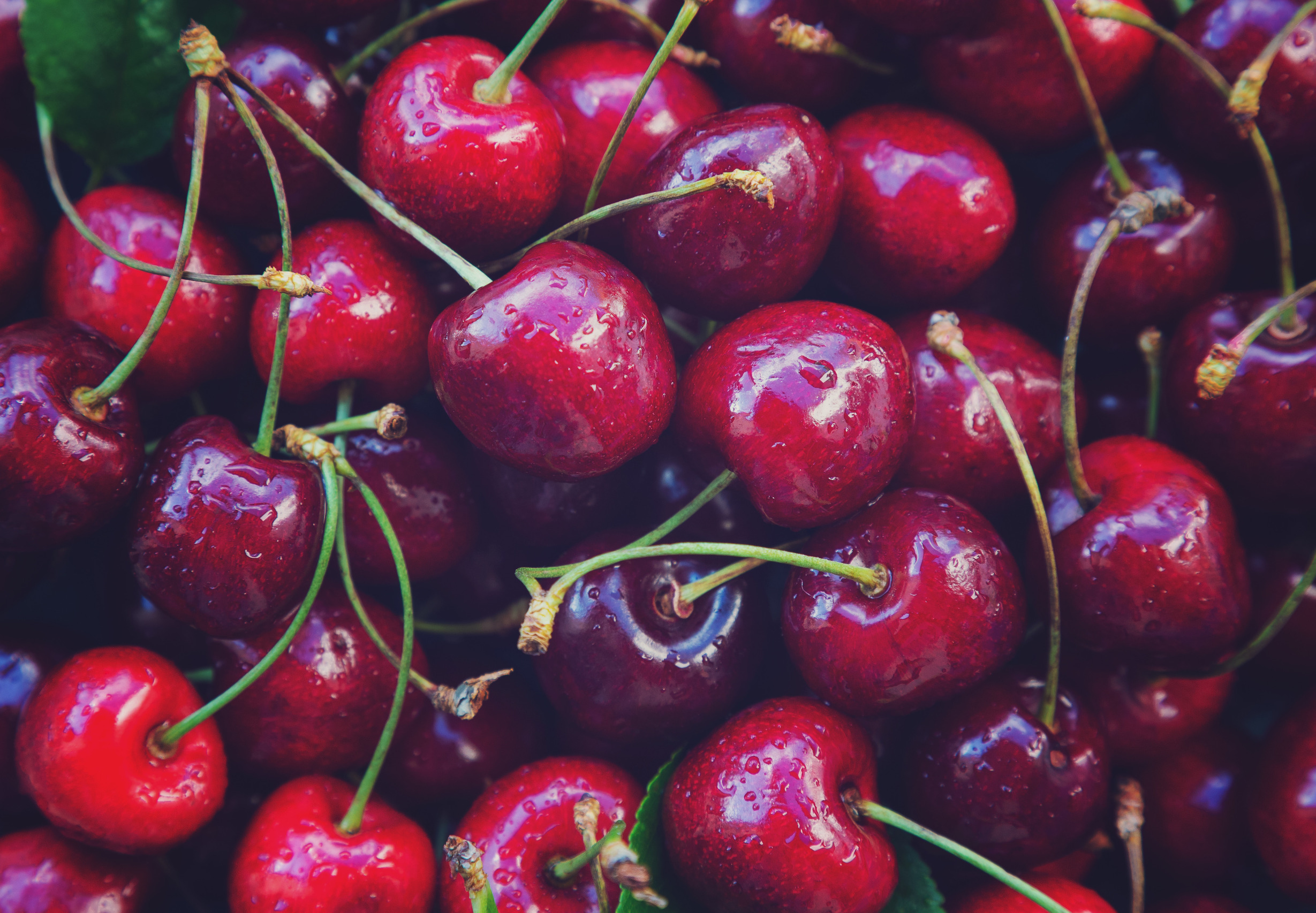 Kirschen Gut Bei Diabetes 2