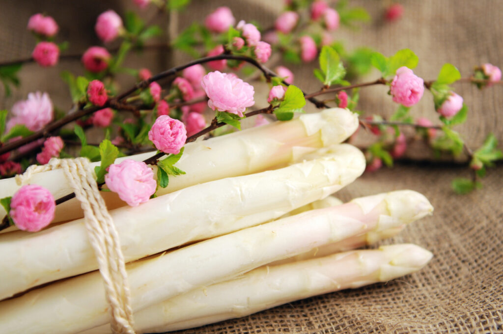 weißer Spargel,gesund,hilft,diabetes, lecker, Frühling