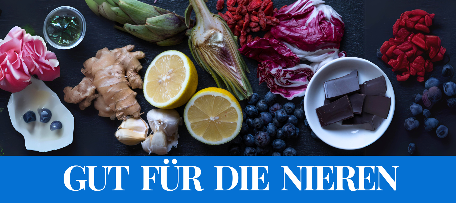 Was Ist Gift Für Die Nieren www.lebens-retter.org