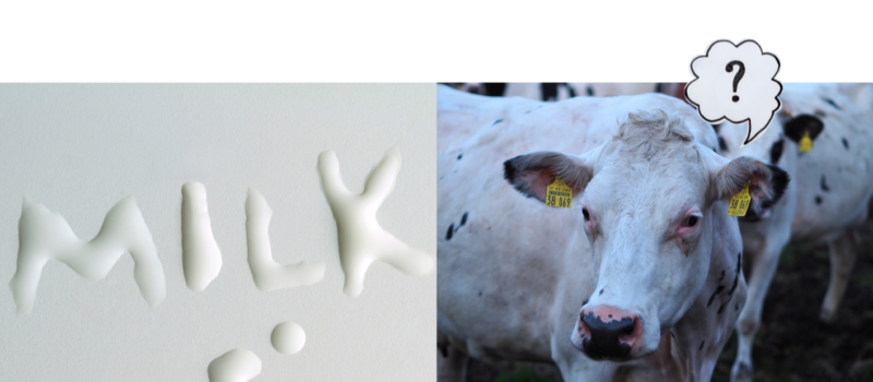 Welche Milch bei Diabetes? Tabelle + gute Alternativen