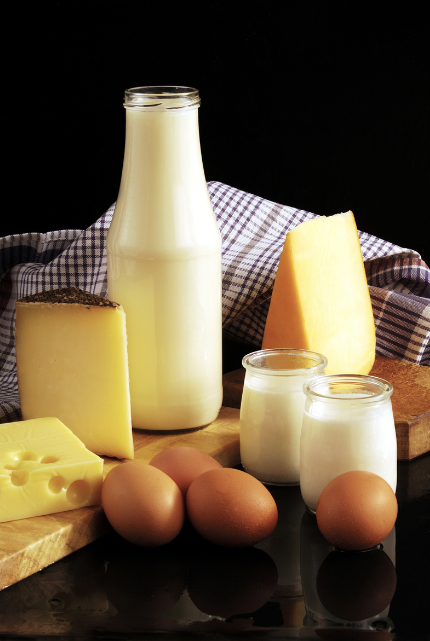 Milch,Käse,Eier,Sahne,gesund Ernährung,Prädiabetes,trotz