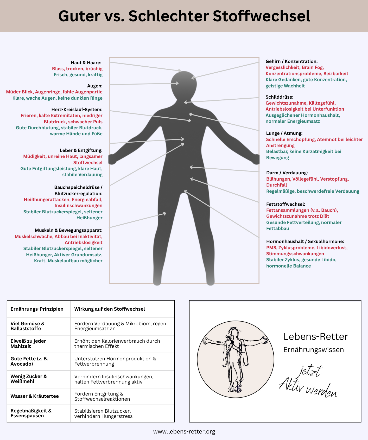Stoffwechsel,schlecht,symptome,Anzeichen,Achtung,guter Stoffwechsel,was tun,Ernährung,hilfe,Lebens-Retter,Schaubild,Erklärung,Schema