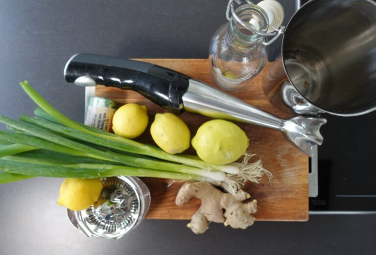 Stabmixer, Stoffwechsel, Zitronen,Ingwer,Knolle,Frühlingszwiebel,Bund,helfen,Fettverbrennung